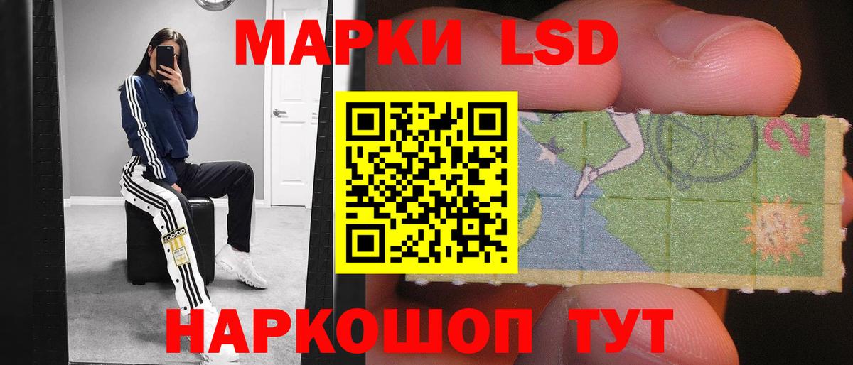 Бошки Шишки Вязники